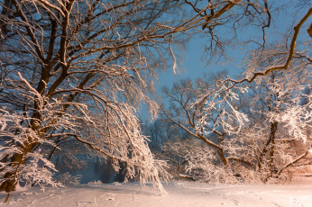 Картинка природа зима снег