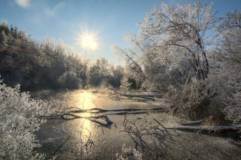 Картинка природа зима снег