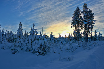 Картинка природа зима снег