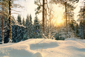 Картинка природа зима снег