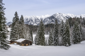 Картинка природа зима снег