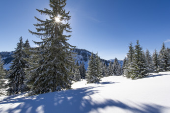 Картинка природа зима снег