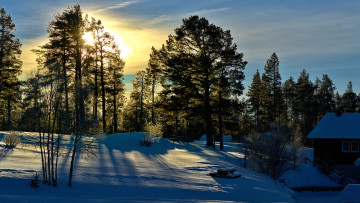 Картинка природа зима снег