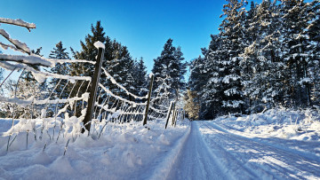 Картинка природа зима снег