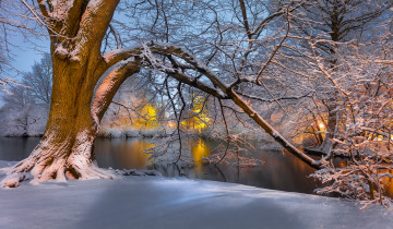 Картинка природа зима лес река