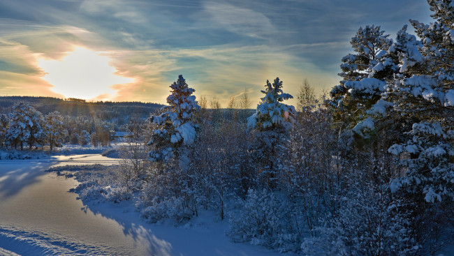 Обои картинки фото природа, зима, снег