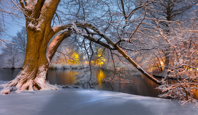 Обои картинки фото природа, зима, лес, река