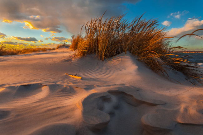 Обои картинки фото природа, побережье, дюны