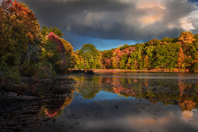 Обои картинки фото природа, реки, озера, лес, река