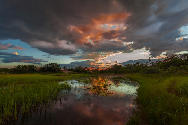 Обои картинки фото природа, реки, озера, река, лес