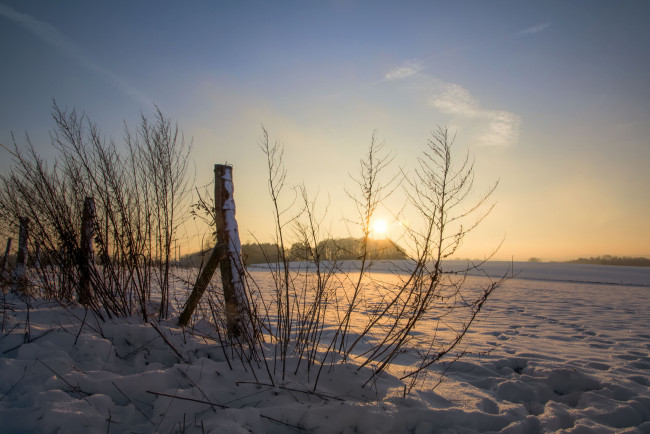 Обои картинки фото природа, зима, снег