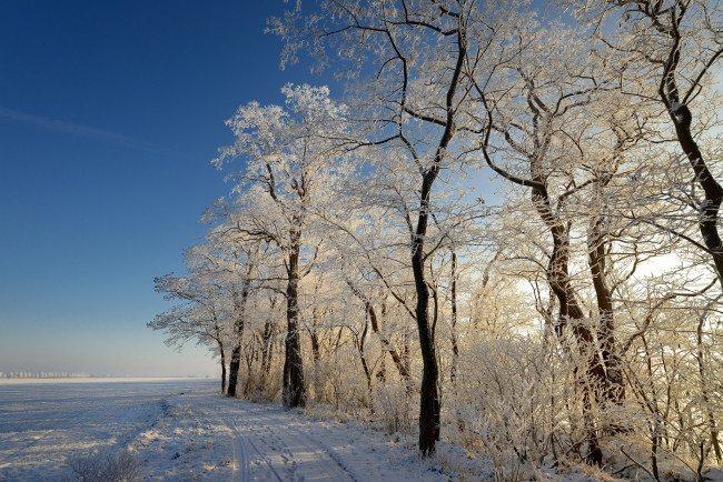 Обои картинки фото природа, зима, снег