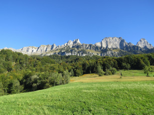 Картинка природа пейзажи лес горы