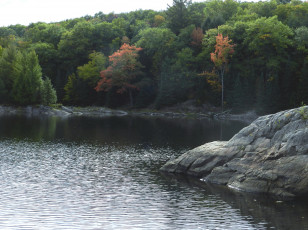 Картинка природа реки озера река вода камень деревья