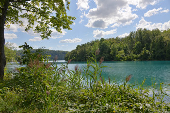 Картинка природа реки озера лес река