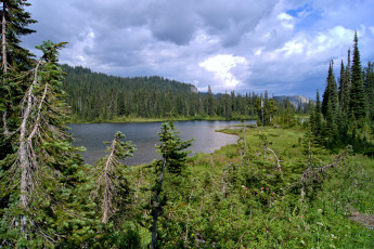 Картинка природа реки озера река лес