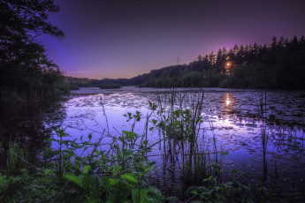 Картинка природа реки озера река лес