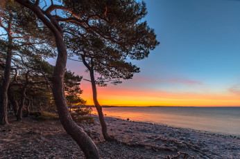 Картинка природа побережье море берег