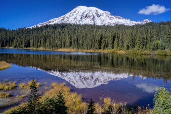 Картинка природа реки озера лес река