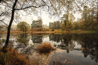 Картинка природа реки озера река лес