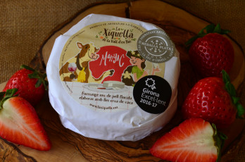 Картинка еда сырные+изделия сыр