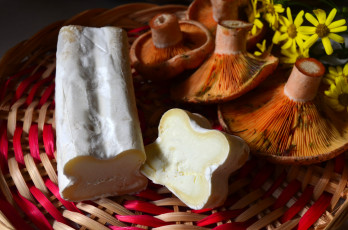 Картинка еда сырные+изделия сыр