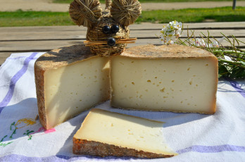 Картинка еда сырные+изделия сыр