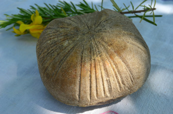 Картинка еда сырные+изделия сыр