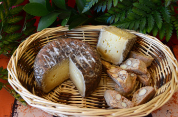 Картинка еда сырные+изделия сыр