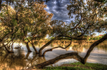 Картинка природа радуга река лес