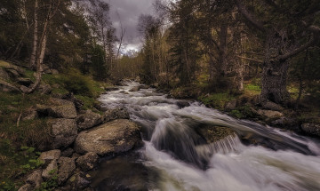 Картинка природа реки озера лес река