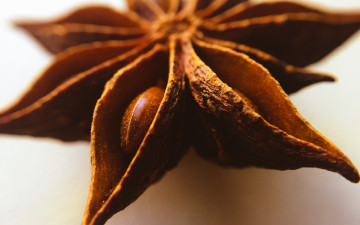 Картинка еда крупы +зерно +специи +семечки макро бадьян