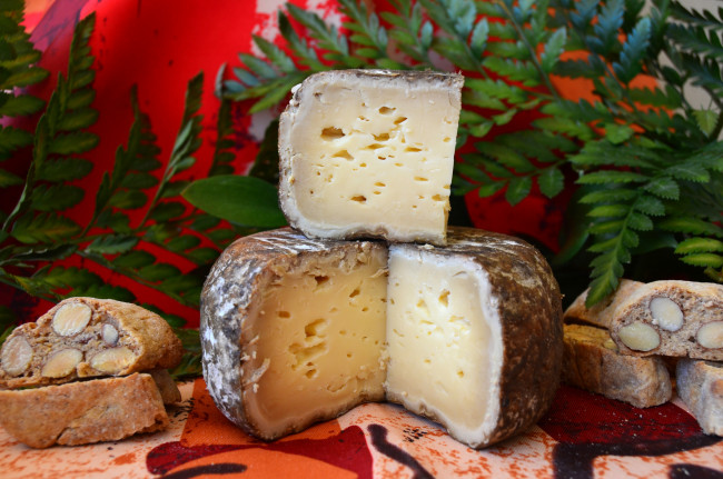 Обои картинки фото еда, сырные изделия, сыр