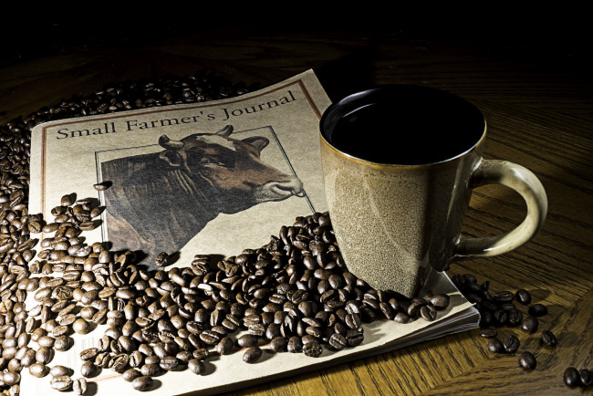 Обои картинки фото еда, кофе,  кофейные зёрна, напиток, чашка