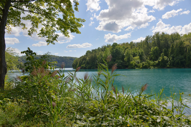 Обои картинки фото природа, реки, озера, лес, река