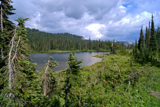 Обои картинки фото природа, реки, озера, река, лес