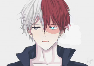 Картинка аниме boku+no+hero+academia тодороки шото