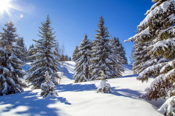 Картинка природа зима снег сугробы