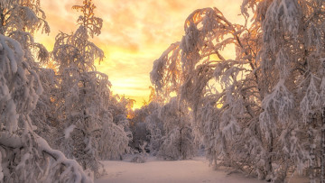 Картинка природа зима снег сугробы