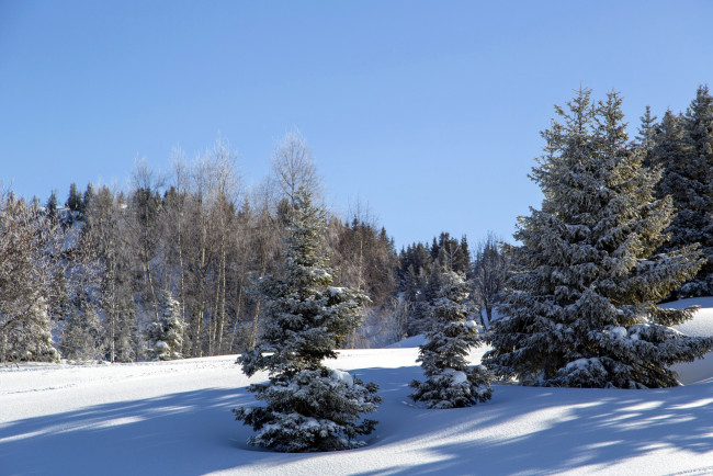 Обои картинки фото природа, зима, снег, сугробы