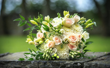 Картинка цветы букеты +композиции свадебный букет