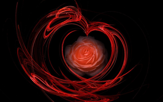 Обои картинки фото разное, компьютерный дизайн, роза, росчерки