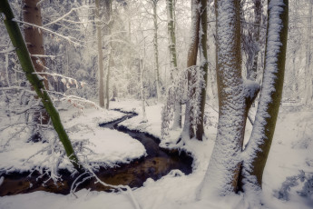 Картинка природа реки озера зима снег