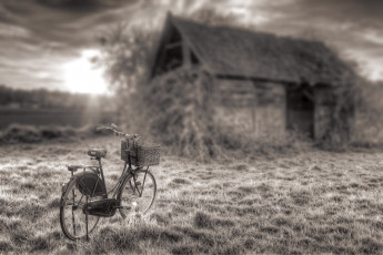 Картинка техника велосипеды велосипед