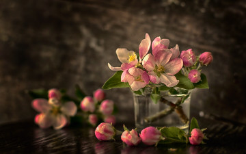 Картинка цветы цветущие+деревья+ +кустарники весна