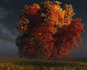 Картинка рисованные природа