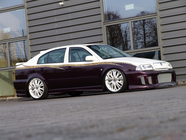 Обои картинки фото автомобили, skoda