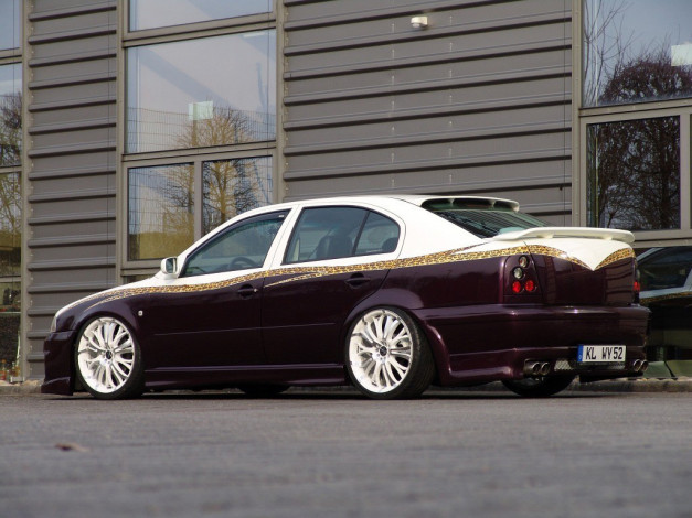 Обои картинки фото автомобили, skoda