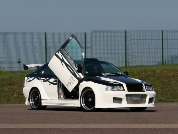 Обои картинки фото автомобили, skoda