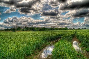 Картинка by nicolai kjergaard природа поля облака